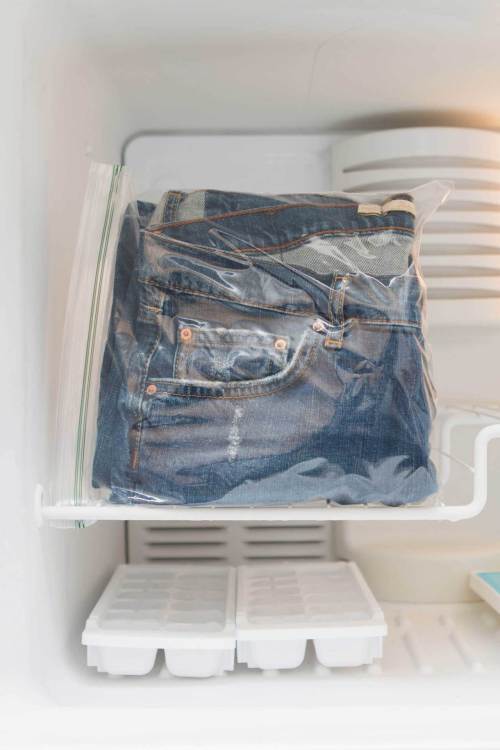 jeans-in-freezer